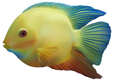 fish png|Fish PNG Transparent Images Free Download .